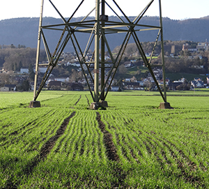 Ein Elektromast im Feld
