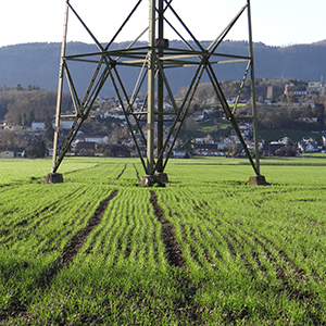 Ein Elektromast im Feld