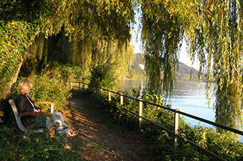 Spazierengehen und die Schönheit der Natur in sich aufnehmen ist das beste Mittel gegen Burnout, wenn man es täglich tut.