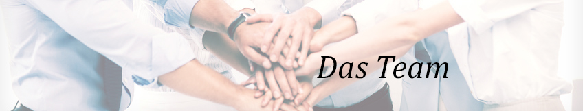 Swiss Harmony Team Spirit