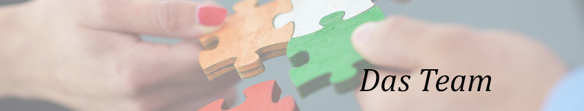 Swiss Harmony Team Spirit