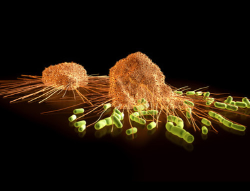 Autoimmunerkrankungen unter Einfluss von Mobilfunkstrahlung?